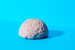 © JEFF WASSERMAN/Stocksy - Human Brain Model on Blue