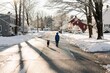 © Léa Jones/Stocksy - boy walking his dog in the winter