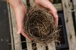 © Léa Jones/Stocksy - hands holding an empty bird nest