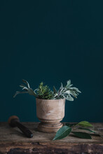 Still Life Of Fresh Herbs And Mortar On Wooden Board On Blue Background