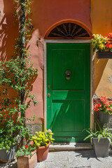 Wall Mural - A green entrance door on an orange wall surrounded by potted flowering plants, Italy