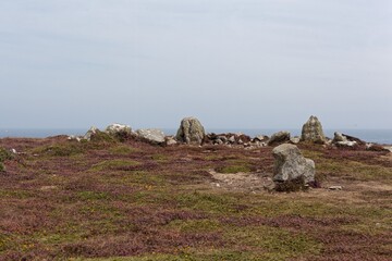 Menhir stones in a heath landscape at Ouessant island, Brittany