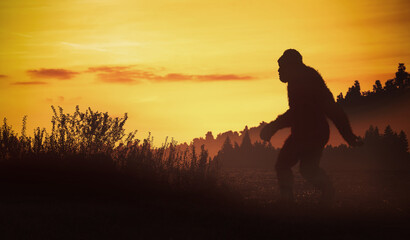 Wall Mural - Bigfoot really exists