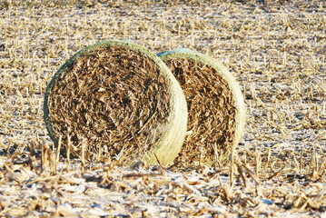 Round Bales