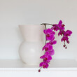 large white vase with pink orchid flowers in white room