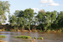 African Landscape In Kenya