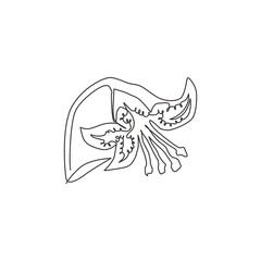 Wall Mural - Single one line drawing of beauty fresh lilium for garden logo. Printable decorative tiger lily flower for wall art home decor poster print. Modern continuous line draw design vector illustration