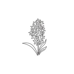 One continuous line drawing of beauty fresh hyacinthus for home wall decor poster art print. Decorative hyacinth flower concept for greeting card ornament. Single line draw design vector illustration