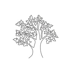 Wall Mural - one continuous line drawing of big beauty and exotic maple tree. decorative acer pseudoplatanus plan