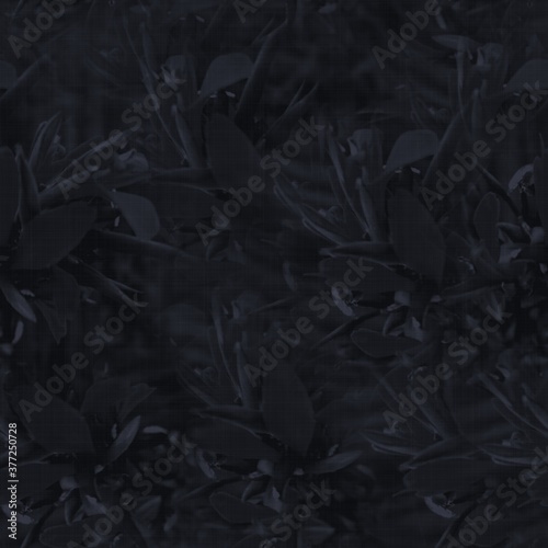Fotografía Dark moody almost black leaf seamless pattern