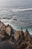 Fototapeta Morze - Crashing waves on rocks