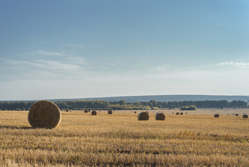 rollhay in the field. rural landscape, autumn harvest