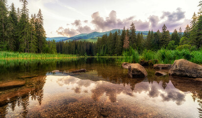 Wall Mural - Reflection of twilight sky in lake at forest