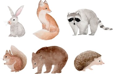 Woodland Animal Clipart