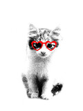 Fototapeta Zwierzęta - Cute black and white kitten with red heart shaped glasses