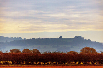 Poster - Cotswolds Gloucesteshire England UK. Lush green agricultural costwold landscape