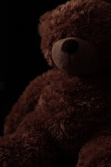 teddy bear in the dark