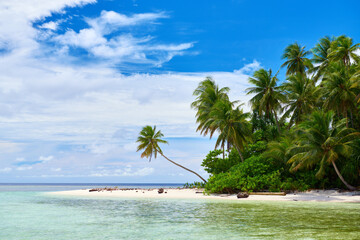  Coconut and beach