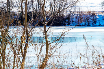 Wall Mural - Bare trees in winter by the river, winter landscape