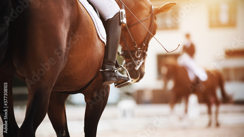 Fotomural On a Bay horse with a dark tail in the saddle sits a rider who holds a whip and a foot in the stirrup, and to meet them rides a rival in equestrian competitions