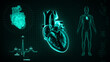 Anatomy of human half heart 3d illustration
