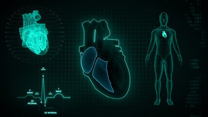 Wall Mural - RA and RV Node signals of human half heart 3d illustration