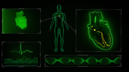 Wall Mural - SA and AV Node signals of human half heart 3d illustration