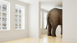 Elefant in Wohnung als Platzmangel und Haustier Konzept