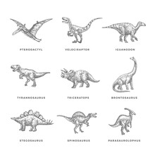 Prehistoric Dinosaurs Sketch Signs, Symbols Or Illustrations Set. Hand Drawn Vector Ancient Reptiles Silhouttes Collection. Doodle Style Drawings Bundle.