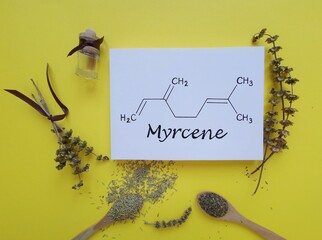 Structural chemical formula of myrcene molecule with dried herb bouquet, basil and rosemary. Myrcene is a monoterpene, an anti-inflammatory, anabolic agent, a fragrance and oil component.