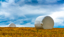 Round Hay Bales Wrapped In Protective Plastic Sitting On A Golden Harvested Field With Blue Skies And Clouds In The Background.