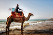 © Cavan Images - Surfer with surfboard ridding a camel at the beach