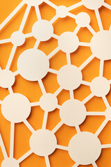 Connections network