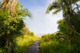 Wet path for tourism on the way to Victoria Falls in Zimbabwe in Africa. Walkway and water mist in the air. 