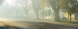 © Gary Chapman/Austockphoto - A foggy morning in the tree lined streets of a small country town
