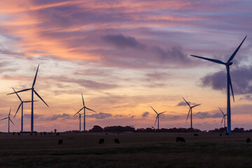 Wind turbines at sunset, Australia