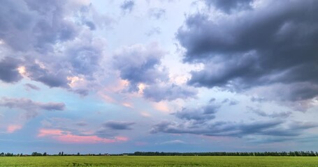 Wall Mural - Rural summer landscape in the evening on sunset. Green field of wheat and blue sky on farm. Green meadow. Nature landscape wilderness 4k time lapse. Agriculture. Countryside outdoors, amazing view.