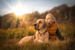 Beste Freunde - ein Kind umarmt seinen Hund, einen Broholmer, und beide genießen in der Natur den Sonnenuntergang an einem Herbsttag