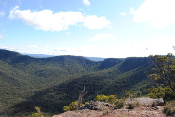 Wall Mural - The bright cliffs with the rocks in the Blue Mountains in the national park, Australia