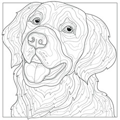 Dog.Golden Retriever.Animal.Coloring book antistress for children and adults. Illustration isolated on white background.Black and white drawing.Zen-tangle style.