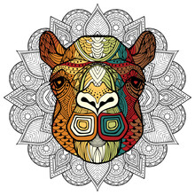 Camel Head In Detailed Style. Zentangle Camel. Vector Pattern For Tribal Design. Geometric Ethnic Motif With Rhombus, Triangles. Graphic Style. Camel For Print, Web, Textile, Wrapping Paper.