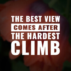 Wall Mural - Best inspirational quote for success. the best view comes after the hardest climb
