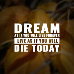 Wall Mural - Best inspirational quote for success. Dream as if you'll live forever live as if you'll die today