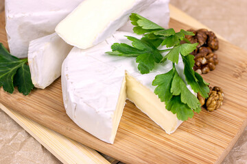 Slices and circles of camembert and brie cheese with white mold on a light paper background.