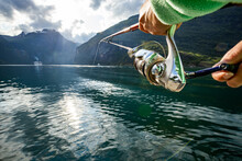 Woman Fishing On Fishing Rod Spinning In Norway.