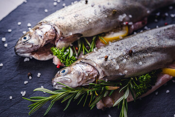 Wall Mural - fresh rainbow fish trout on black stone background with vegetables 