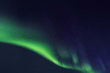 Sticker - night starry sky and northern lights. green aurora borealis