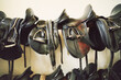 Close-up of black Saddles in tack room