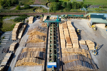 Wall Mural - Sawmill aerial view chopped tree wood logs stacks in a row with machinery