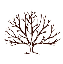 Vector Image Of A Bare Tree